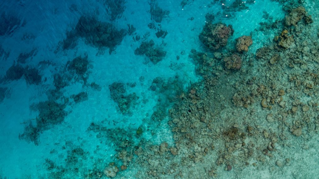 Aerial shot of a shoreline